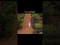 The Art of Solitude 🕊️🫠 #pov #edit #life #solitude #art #love #selfimprovement #viral #truefacts