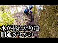 【魚道開通】水が枯れ果てた魚道をなんとかしたい【開通未遂】