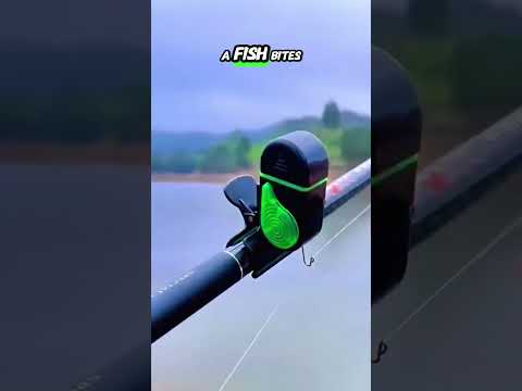 この小さなアラームはあなたが釣る前に魚を捕まえます ガジェット 釣り Ilovegadgets Fishinghacks
