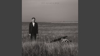 Néma vermek - Thy Catafalque