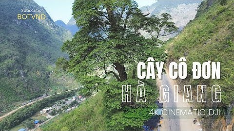 CÂY CÔ ĐƠN HÀ GIANG - 4K CINEMATIC FOOTAGE DJI MINI 3
