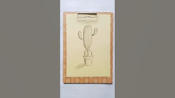 Sketch Cactus. #howtodraw #cactus #plants #sketch #drawing #tutorial #drawingtutorial #illustration
