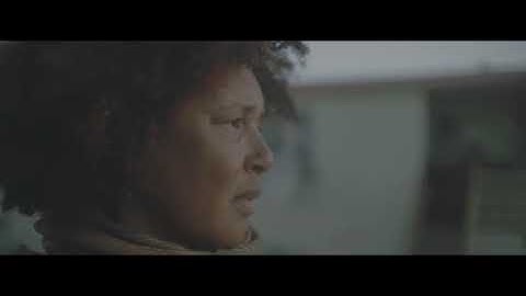Hollywood Fujifilm F-Log and Standard Luts | Davinci Resolve Template