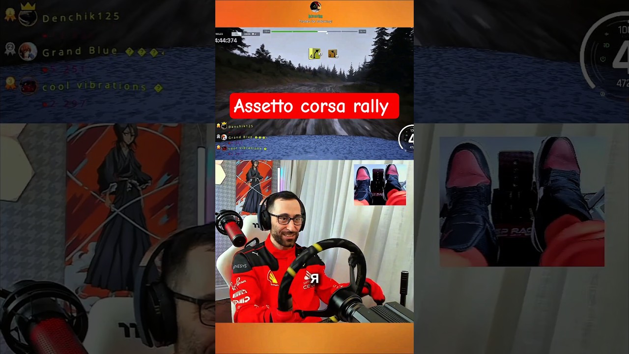 Assetto corsa rally 