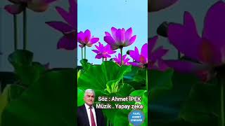 20 Ağustos 2024 Resimi