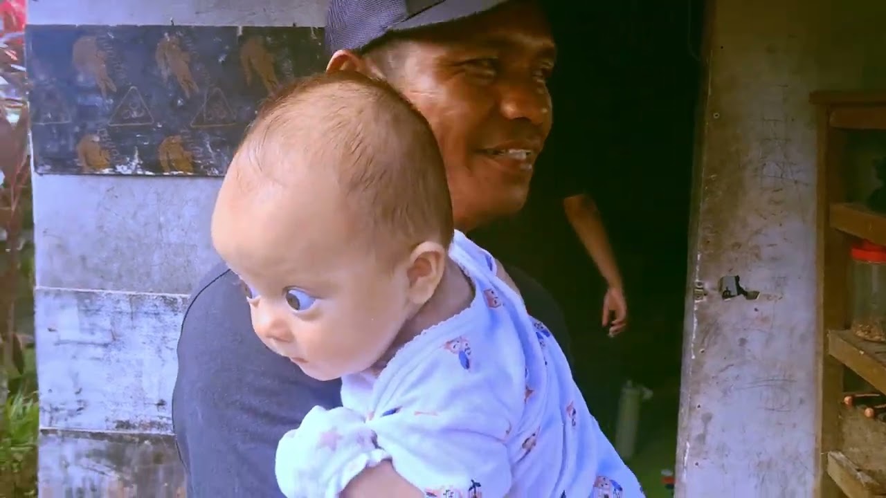 BongoJoe goes around the farm