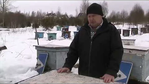 НАДЁЖНЫЙ СПОСОБ ПОДКОРМКИ ПЧЁЛ ЗИМОЙ