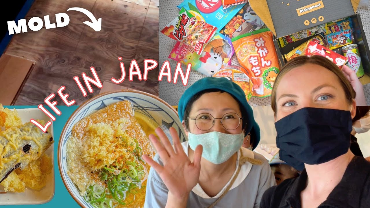 Life in Iwakuni, Japan! mold in our house, trying a new Udon restaurant, and visiting Kikko Park