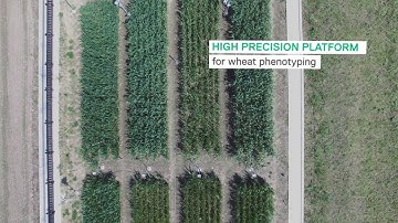 Phenospex FieldScan @ John Innes Center UK