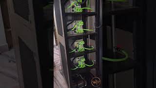 BITMAIN ANTRACK WITH 4 X 293T | HYDRO BITCOIN MINER | 8511645288 #bitcoin #bitcoinminer