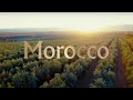 Farm to table  the process of producing moroccan olive oil with the highest polyphenols