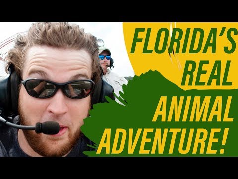 Private Airboat Tours