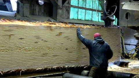 Hull - Oakes Lumber Company: Main Saw Cutting huge Doug Fir timber