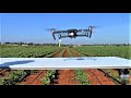 La agricultura del futuro, Carmona, Sevilla