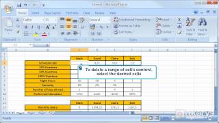 Celebrity How to delete data with Excel 2007? Wealth