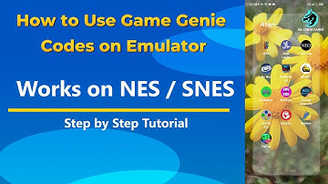 How to Use Game Genie Codes on Emulator | Quick Retro Guide