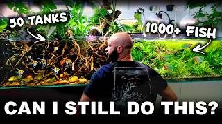 A Realistic Day In My 50 Aquarium, 1000's of Fish Studio