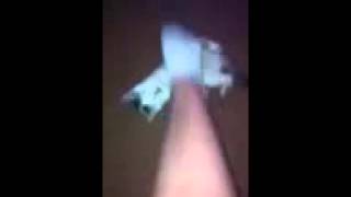 Cameo Eats Amandas Foot