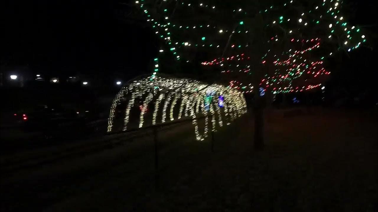 Celebration of Lights & Winterland Express, Kannapolis, NC. YouTube