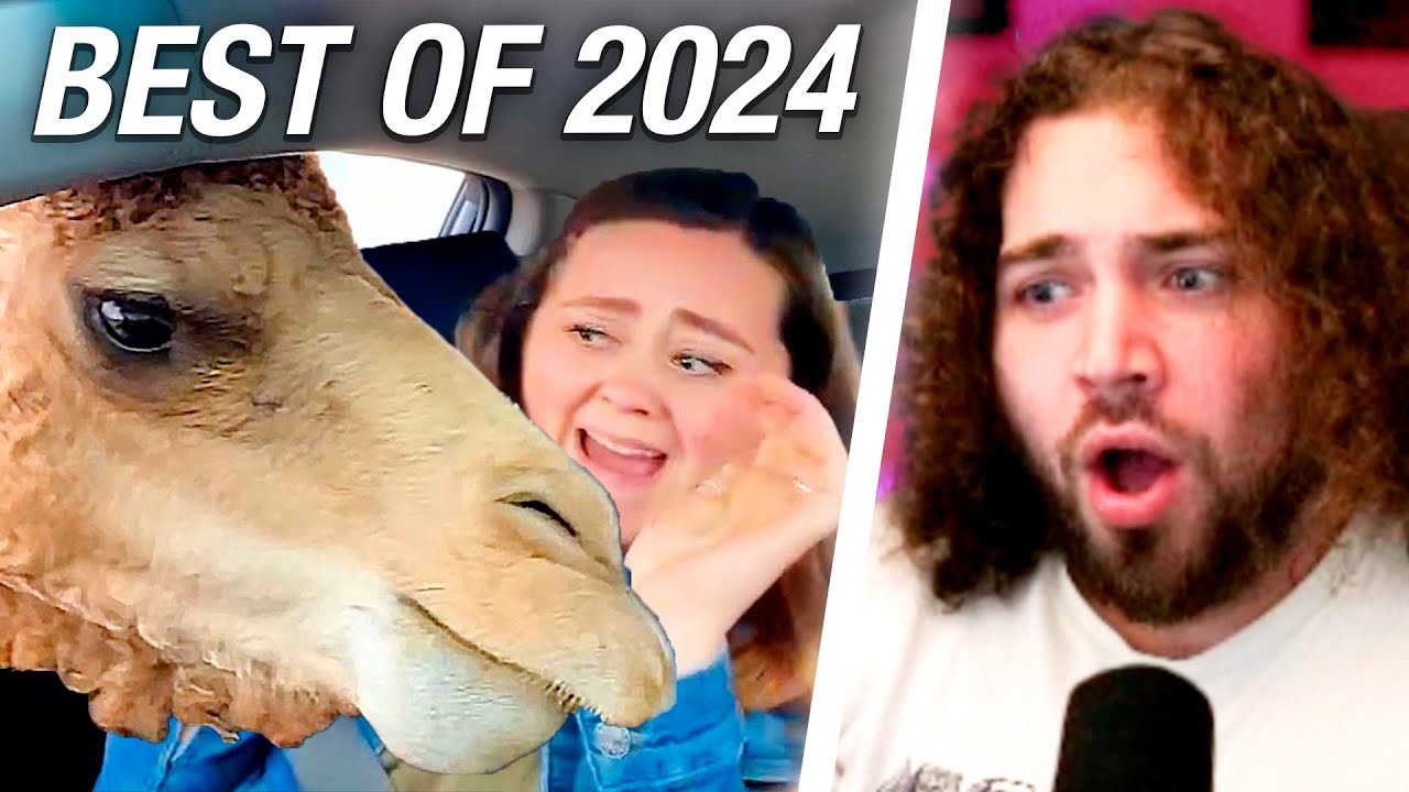 OS MELHORES VÍDEOS DA INTERNET 2024