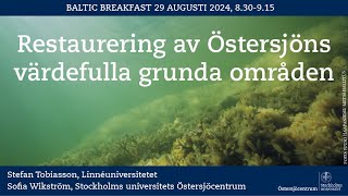 Baltic Breakfast: Restaurering av Östersjöns värdefulla grunda områden