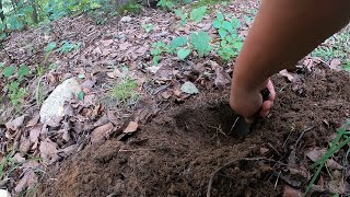 How to dig a cathole