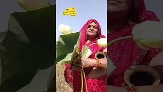 Mandir sab 🪔🪔🎎 bhul gaye filmi gane gate Hain jaypal Bhawani Maiya