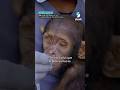 À ce bébé chimpanzé aussi on lui donnerait bien une peluche 🥹 thumbnail