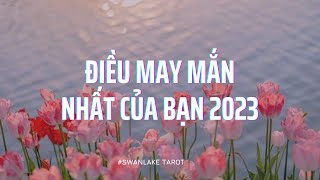 Điều may mắn nhất của bạn năm 2023 || Swanlake Tarot