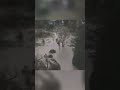 Flooding hits Omakere School in Waipawa | RNZ