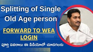 House hold spitting singal old age person forward to WEA login process 2023 In Ap seva portal screenshot 5