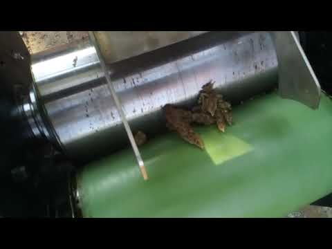 Cannabis press (Rodin type)