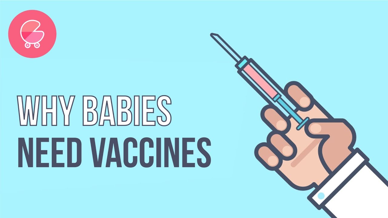 How Vaccine Works | Babygogo