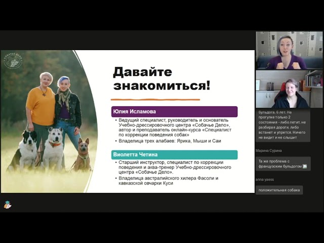 игровое поведение собак