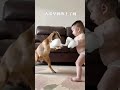 Sheep and Little Master Watch it and laugh again Don’t look at me as just a sheep everyone is h