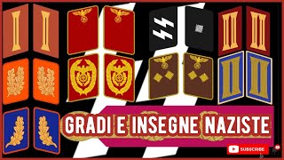 Gradi E Insegne Naziste Nsdap, Ss E Sa Spiegati