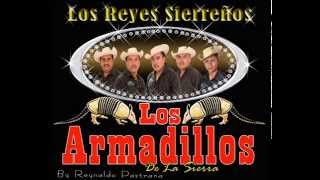 Video voorbeeld van "Los Armadillos De La Sierra 2014 - El Primer Lugar (AUDIO)"