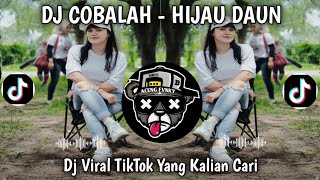 Dj Cobalah  Hijau Daun cover Kucoba Pahami Langit Kau Coba Lagi Pijaki Bumi Viral Tiktok