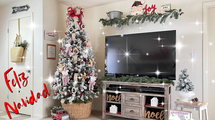 Decorate the Christmas tree and the entrance of the house with me.