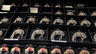 Creepy Coraline Coraline 2009 Bonus Feature