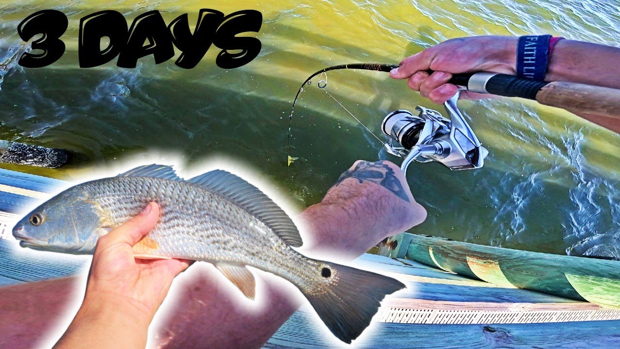 3 DAYS FISHING from New Smyrna to Titusville