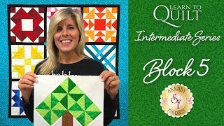 Famous Learn to Quilt Intermediate Block Five | a Shabby Fabrics Quilting Tutorial Wealth