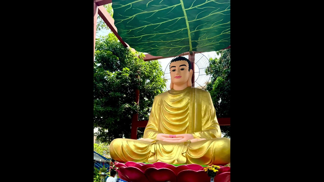 Chùa Giác lâm mồng sáu tết Bính Ngọ- một trong những ngôi chùa cổ. Phần 1: cảnh quan bên ngoài chùa