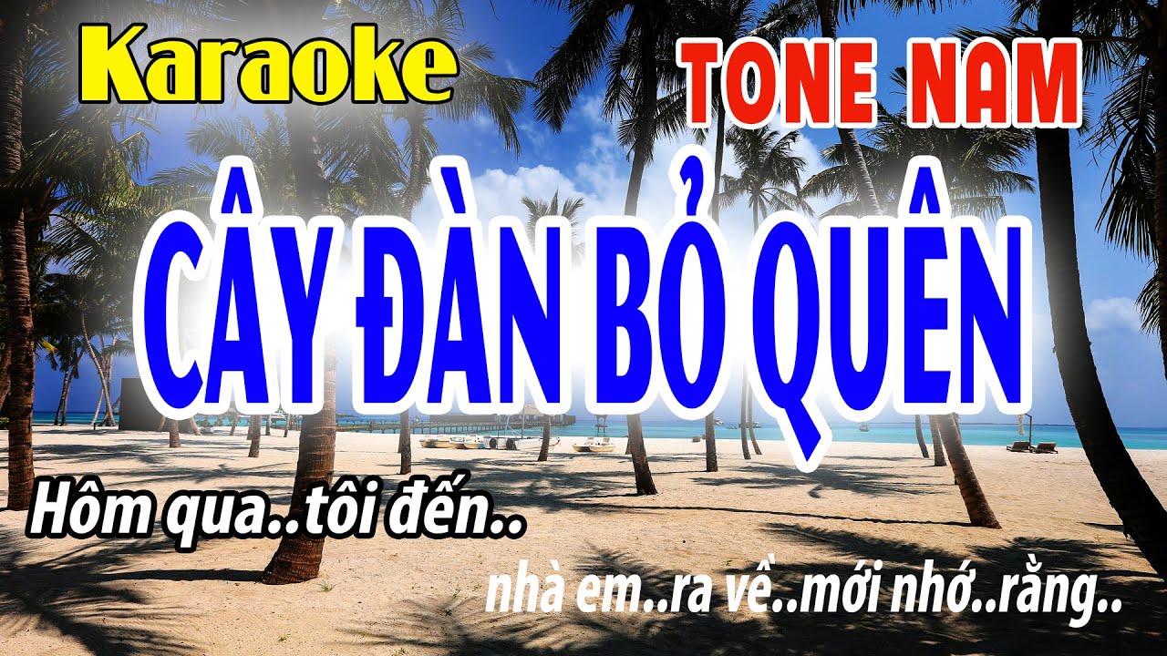 Karaoke Tone Nam Cây Đàn Bỏ Quên | Dm | Đời Sống và Âm Nhạc