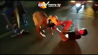 Story Wa Kowe Tak Sayang sayang Lucu Jatuh