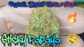 #78 Sticky Papaya (Official Product Review)Rise Dispensary Product