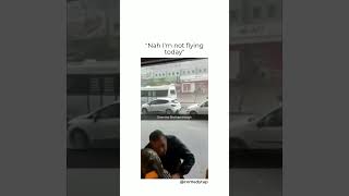 even the bird had enough of flying