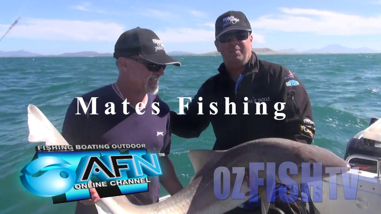 Oz Fish TV - Our Journey