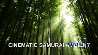 Timeless Echoes  Deep Ambient Music for Stillness