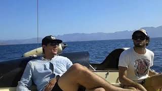 Sail Loreto